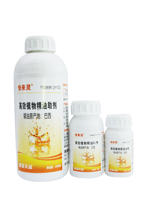 快来灵