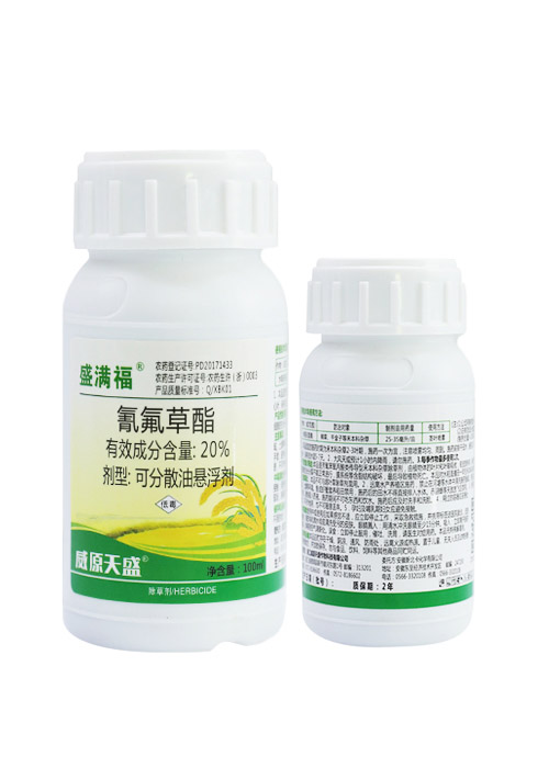 盛满福
